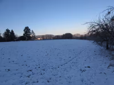 land- und forstwirtschaftlich genutztes Grundstück in ., 53343 Wachtberg, Züllighoven - Bild 2