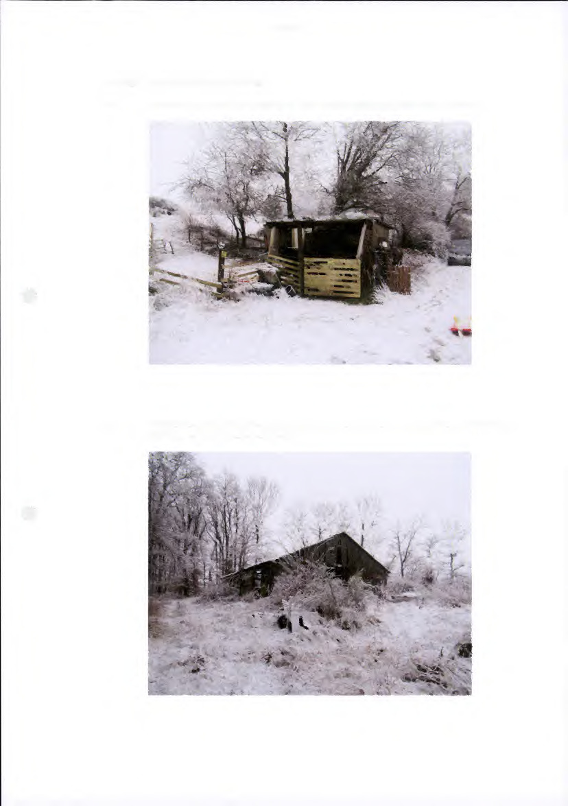 land- und forstwirtschaftlich genutztes Grundstück in Saxler - Bild 1