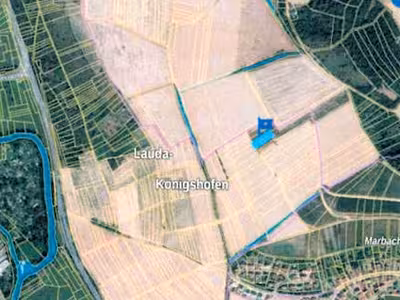 Grünland und Unland in , 97922 Lauda-Königshofen - Bild 2