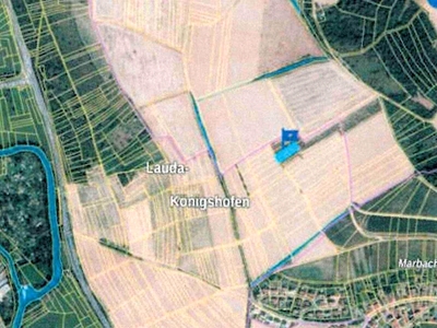 Grünland und Unland in , 97922 Lauda-Königshofen - Bild 2