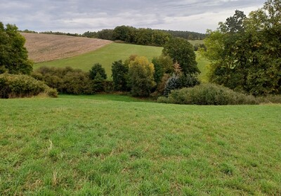 land- und forstwirtschaftlich genutztes Grundstück in Harpersdorf, 07586 Kraftsdorf - Bild 1