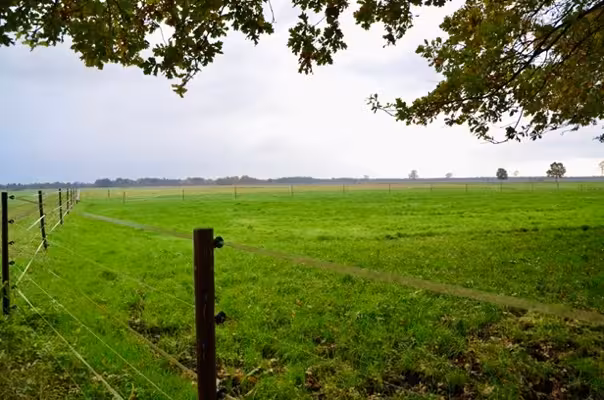 land- und forstwirtschaftlich genutztes Grundstück in Gnarrenburg - Bild 5