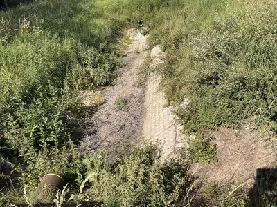 Sonstiges in In der Kranzwiese, 07649 Schlöben OT Rabis - Bild 2