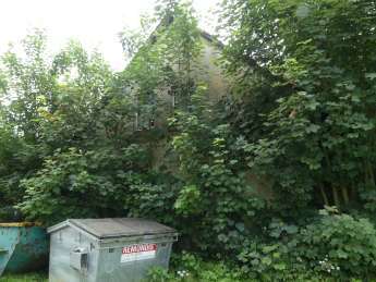 Sonstiges in Kalefeld - Bild 4