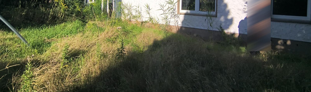 Sonstiges in Berlin - Bild 4