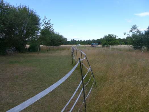 land- und forstwirtschaftlich genutztes Grundstück in Rodgau - Bild 3