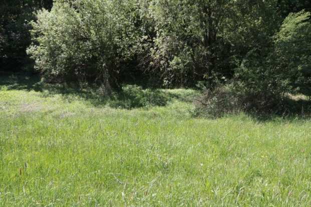 land- und forstwirtschaftlich genutztes Grundstück in Maxhütte-Haidhof - Bild 2