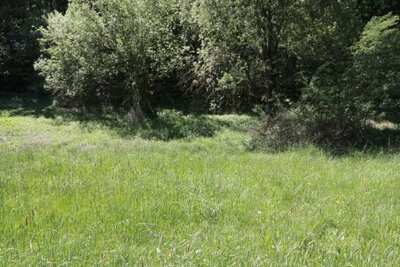 land- und forstwirtschaftlich genutztes Grundstück in Kappläcker, 93142 Maxhütte-Haidhof - Bild 2