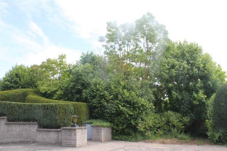 unbebautes Grundstück in Hameln - Bild 1