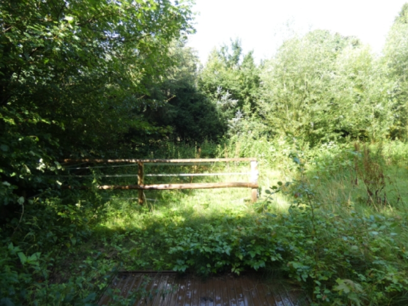 Grundstück mit Pferdestall in Sankt Michaelisdonn - Bild 1