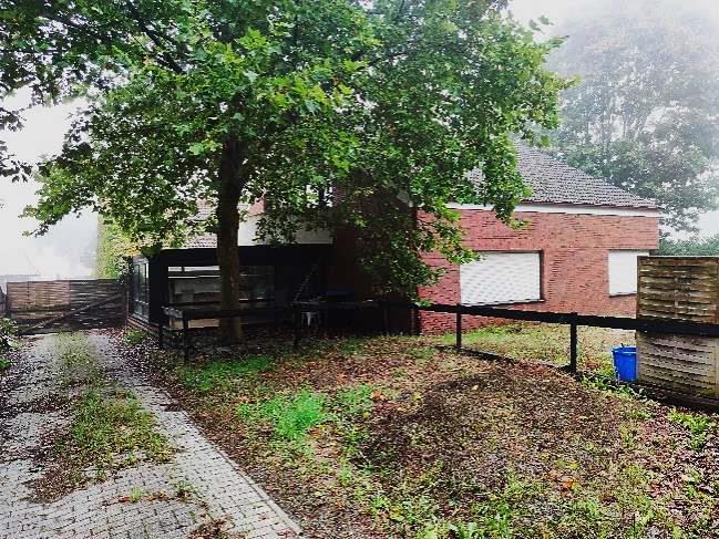 Sonstiges in Aschendorf - Bild 3