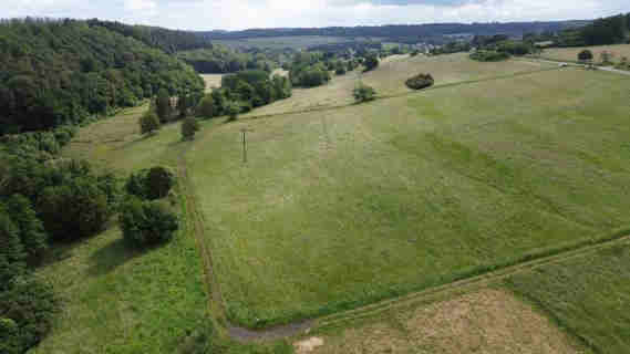 land- und forstwirtschaftlich genutztes Grundstück in Holler - Bild 4