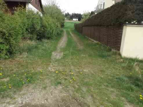 land- und forstwirtschaftlich genutztes Grundstück in Allershausen - Bild 2