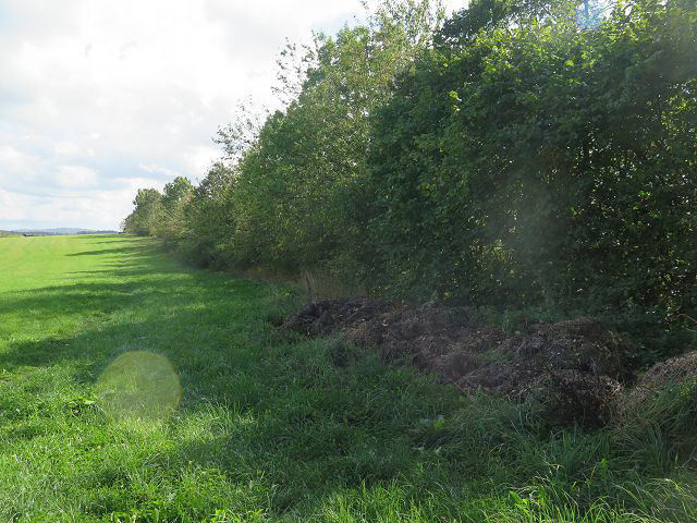 unbebautes Grundstück in Lüdenscheid - Bild 4