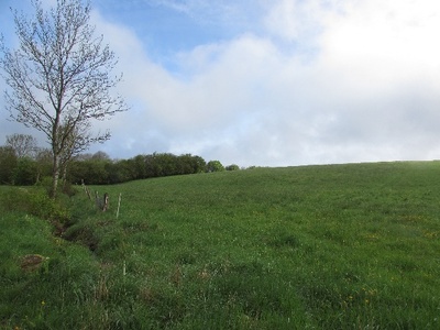 land- und forstwirtschaftlich genutztes Grundstück in Hinter dem Iversheimer Berg, 53945 Blankenheim - Bild 1