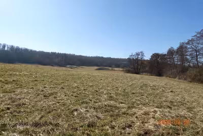 Landwirtschaftsfläche in , 71034 Böblingen - Bild 2