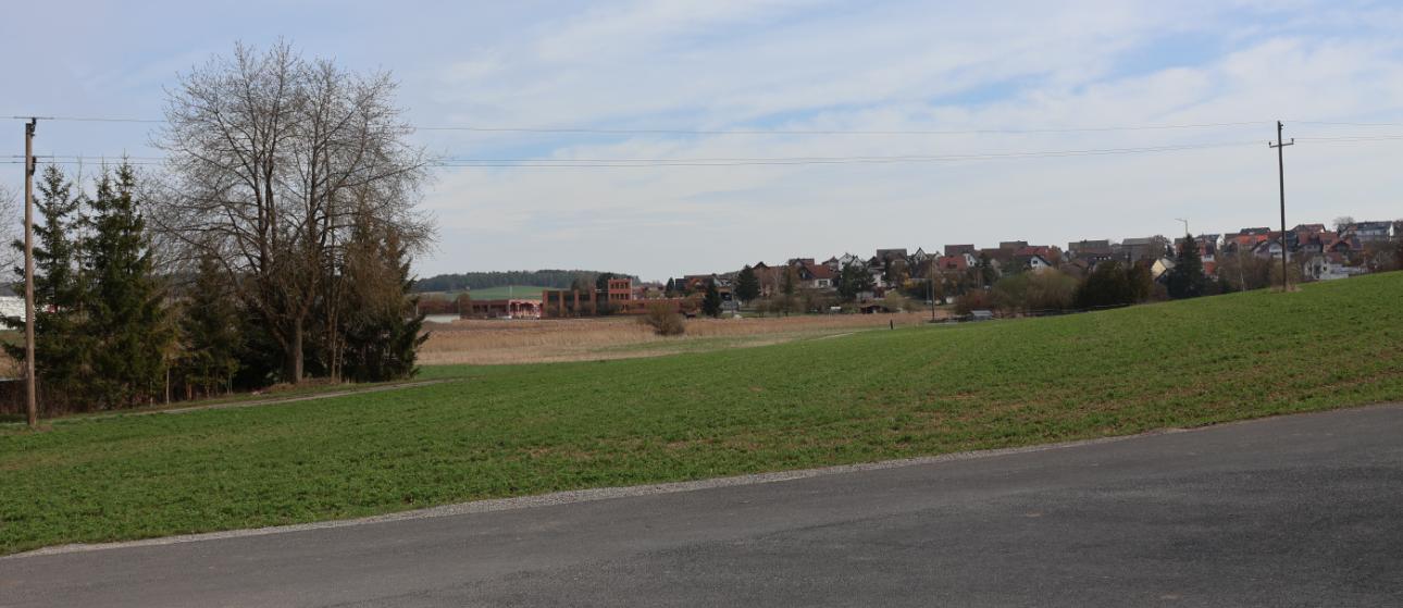 Ackerland in Steinfeld - Bild 2