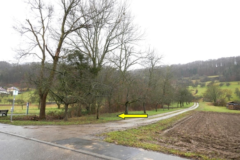 Einfamilienwohnhaus mit Garage, Nebengebäude und Landwirtschaftsfläche in Ingelfingen - Bild 4