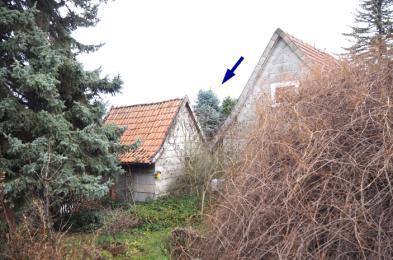 Einfamilienhaus inkl. Nebengelass in Bleicherode - Bild 3