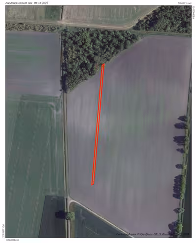 land- und forstwirtschaftlich genutztes Grundstück in Am Prachergraben/Langen Thogen, 38838 Schlanstedt - Bild 1