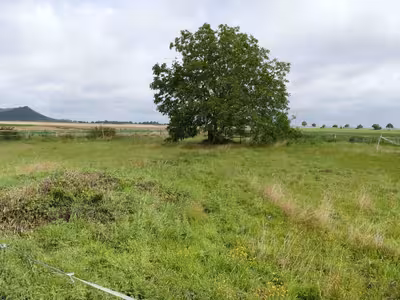 unbebautes Grundstück in St.-Ursula-Straße, 52457 Aldenhoven, Dürboslar - Bild 5
