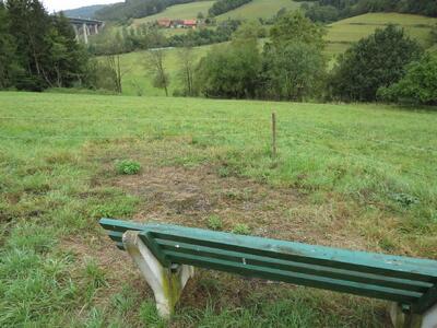 land- und forstwirtschaftlich genutztes Grundstück in Kappenellernteile, 97792 Unterriedenberg - Bild 1