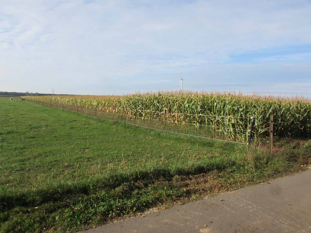 land- und forstwirtschaftlich genutztes Grundstück, ein unbebautes landwirtschaftliches Ackergrundstück in Heinsberg - Bild 2