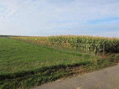 land- und forstwirtschaftlich genutztes Grundstück, ein unbebautes landwirtschaftliches Ackergrundstück in Auif dem Hahn, 52525 ;Heinsberg;Waldfeucht, Waldenrath - Bild 2