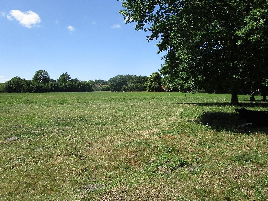 land- und forstwirtschaftlich genutztes Grundstück in Bawinkel - Bild 1