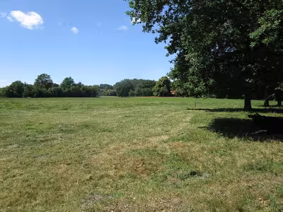 land- und forstwirtschaftlich genutztes Grundstück in Möllenhook, 49844 Bawinkel - Bild 1