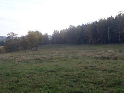 land- und forstwirtschaftlich genutztes Grundstück in Beckingen - Bild 1