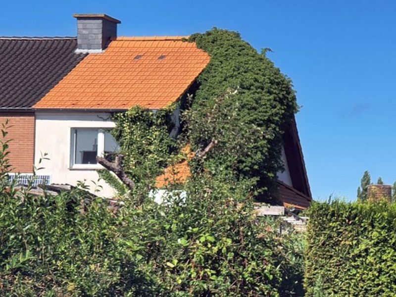 Doppelhaushälfte nebst Anbau in Barth - Bild 3