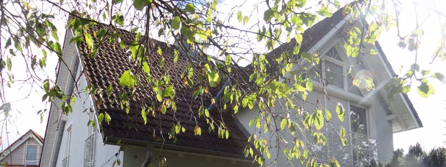 Einfamilienhaus in Unterobsang - Bild 7