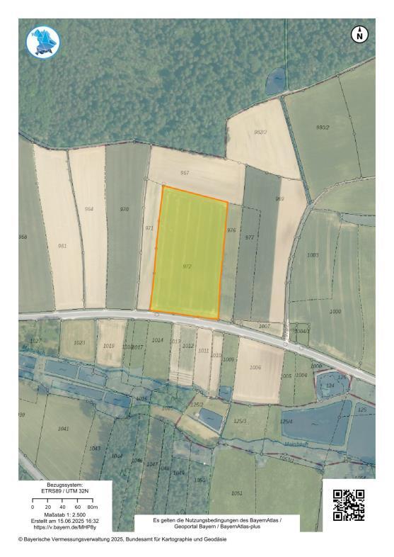 unbebautes Grundstück, land- und forstwirtschaftlich genutztes Grundstück in Büchenbach - Bild 3