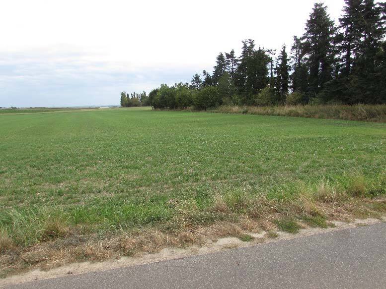 land- und forstwirtschaftlich genutztes Grundstück in Heinsberg - Bild 1
