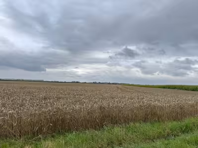 land- und forstwirtschaftlich genutztes Grundstück, Ackerland in Stedtfeld, 39240 Calbe - Bild 1