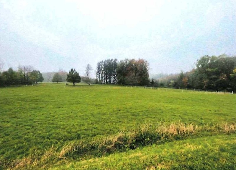 Landwirtschaftsfläche in Althütte - Bild 1