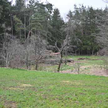 land- und forstwirtschaftlich genutztes Grundstück in Kettenhöfstetten - Bild 4