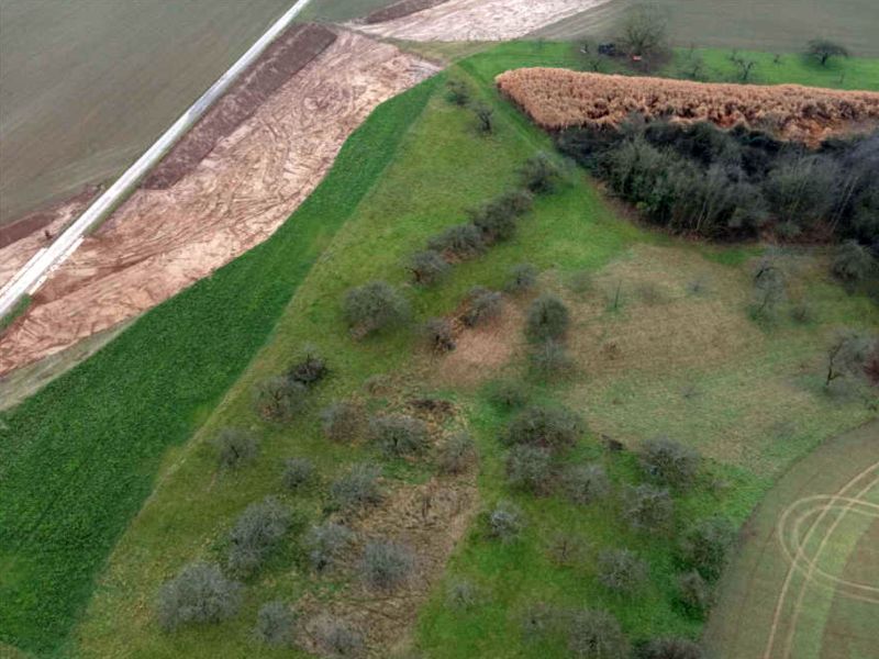Landwirtschaftsfläche in Meckesheim - Bild 1