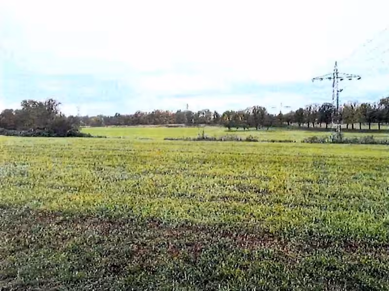 Grünfläche in Freiberg am Neckar - Bild 1