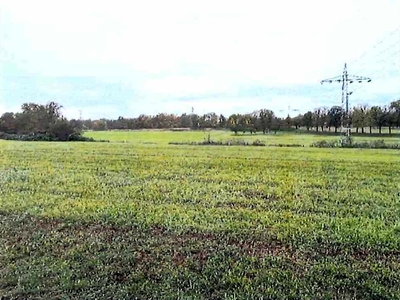 Grünfläche in Lachwiesen, 71691 Freiberg am Neckar - Heutingsheim - Bild 1