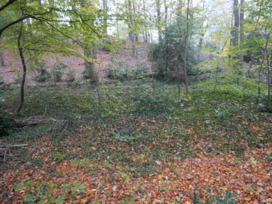 Garage, Einfamilienhaus, Waldfläche in Essen - Bild 2