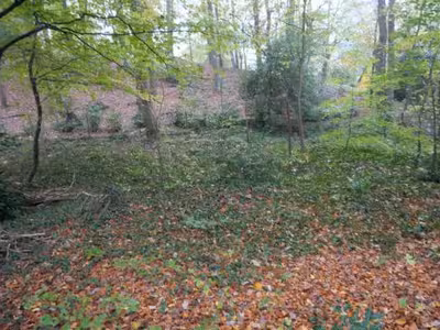 Garage, Einfamilienhaus, Waldfläche in Laupendahler Höhe 162, 00000 - Bild 2