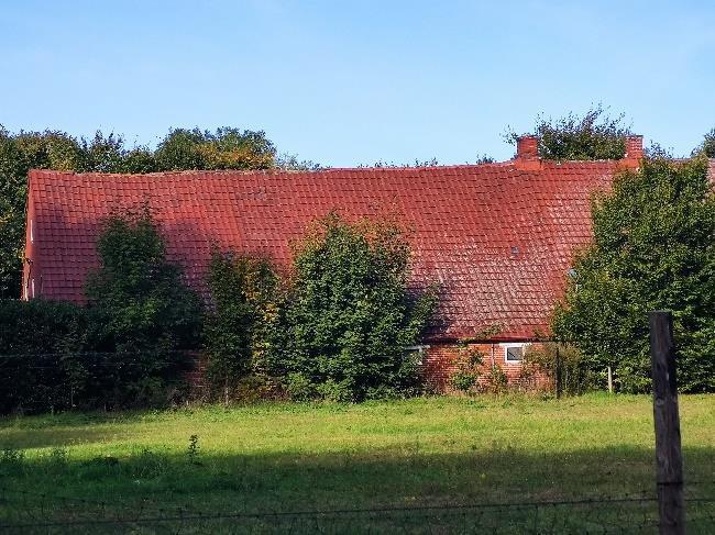 Sonstiges in Aschendorf - Bild 1