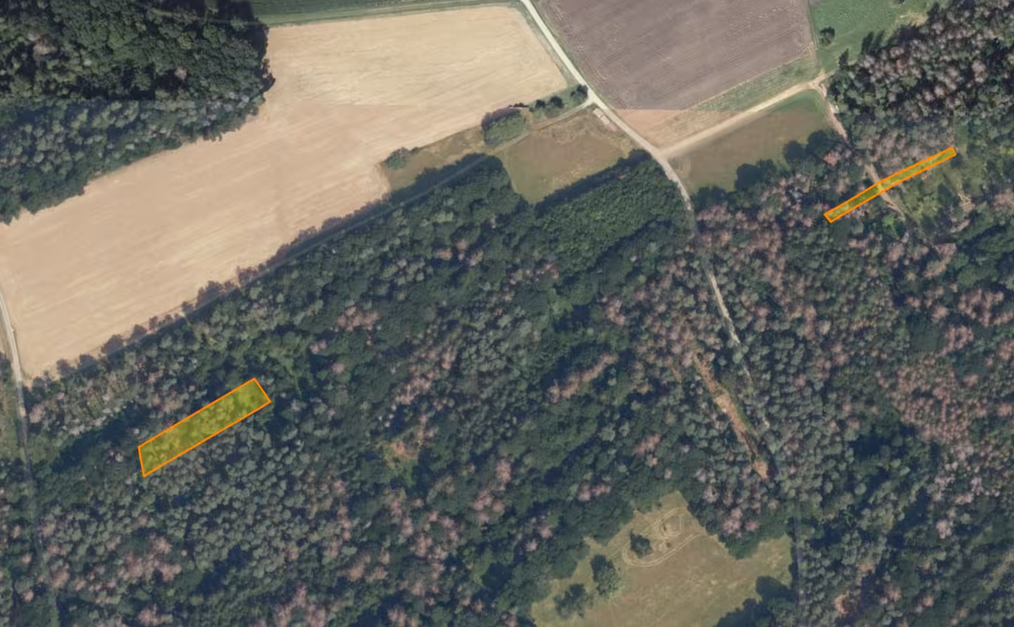 Sonstiges in Kriwitz - Bild 1