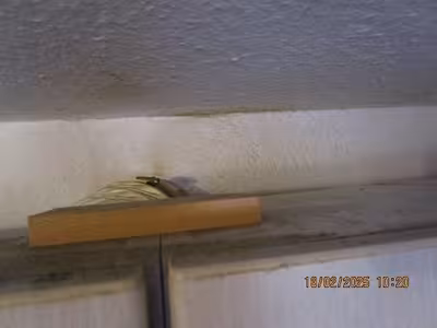 Doppelhaushälfte in Feldahornweg 26, 26127 Oldenburg, Eversten - Bild 2