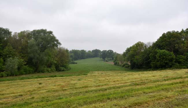 landwirtschaftlich genutztes Grundstück in Selm - Bild 1