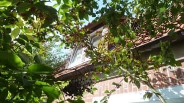 Einfamilienhaus in Breslauer Straße 3, 27432 Bremervörde, Hesedorf - Bild 2