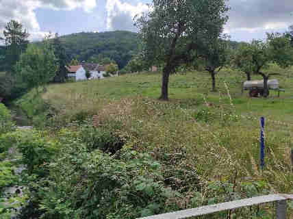 Baugrundstück, land- und forstwirtschaftlich genutztes Grundstück in Lautertal (Odenwald) - Bild 1