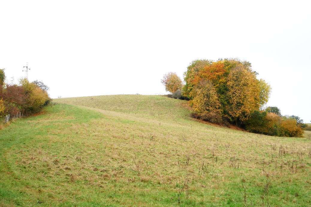 land- und forstwirtschaftliche Grundstücke in Nordhausen - Bild 3